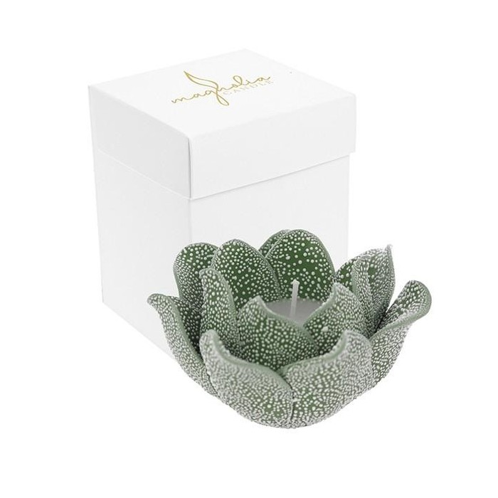 CANDELA MAGNOLIA VERDE PORCELLANA GOCCE DI RUGIADA 10X6.5 BOX